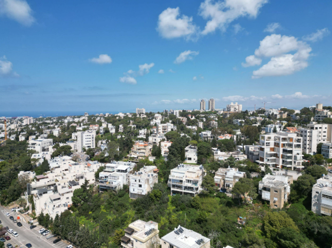 תמונה גל נדלן